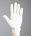 Premier Equine Bordoni Leather Mesh Competiton Riding Gloves - Equestrian Gloves & Hats 