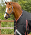 Premier Equine Buster 100g Turnout Rug with Snug-Fit Neck Cover - Equine Horse Wear 