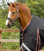 Premier Equine Buster 100g Turnout Rug with Snug-Fit Neck Cover - Equine Horse Wear 