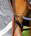 Premier Equine Buster 150g Turnout Rug with Classic Neck Cover - Equine Horse Wear 