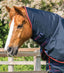 Premier Equine Buster 250g Turnout Rug with Classic Neck Cover - Equine Horse Wear 