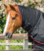 Premier Equine Buster 250g Turnout Rug with Classic Neck Cover - Equine Horse Wear 