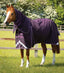 Premier Equine Buster 70g Turnout Rug with Classic Neck Cover - Equine Horse Wear 