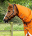 Premier Equine Buster Storm 200g Combo Turnout Rug with Classic Neck - Equine Horse Wear 