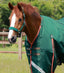 Premier Equine Buster Zero Turnout Rug with Classic Neck Cover - Equine Horse Wear 