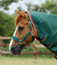 Premier Equine Buster Zero Turnout Rug with Classic Neck Cover - Equine Horse Wear 