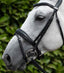 Premier Equine Cheek Pieces (Pair) - Equine Horse Wear 