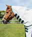 Premier Equine Combo Cotton Sheet - Equine Horse Wear 