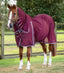 Premier Equine Combo Mesh Air Fly Rug with Surcingles - Equine Horse Wear 