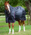 Premier Equine Combo Stable Rug 200g - Equine Horse Wear 