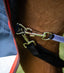 Premier Equine Detachable Leg Straps - Equine Horse Wear 