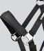 Premier Equine Duco Padded Head Collar with Lead Rope - Equine Horse Wear 