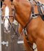 Premier Equine Invorio 5 Point Breastplate - Equine Horse Wear 