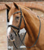 Premier Equine Pietro Laced Reins - Equine Horse Wear 