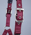 Premier Equine Plain Padded Horse Head Collar - Equine Horse Wear 