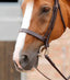Premier Equine Primo Hunter Cavesson Noseband - Equine Horse Wear 