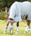 Premier Equine Pro-Tech Bug & Fly Boots - Equine Horse Wear 