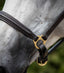 Premier Equine Rego Padded Leather Head Collar - Equine Horse Wear 