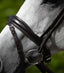 Premier Equine Rizzo Anatomic Flash Noseband - Equine Horse Wear 