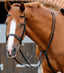 Premier Equine Santadi Adjustable Running Martingale - Equine Horse Wear 