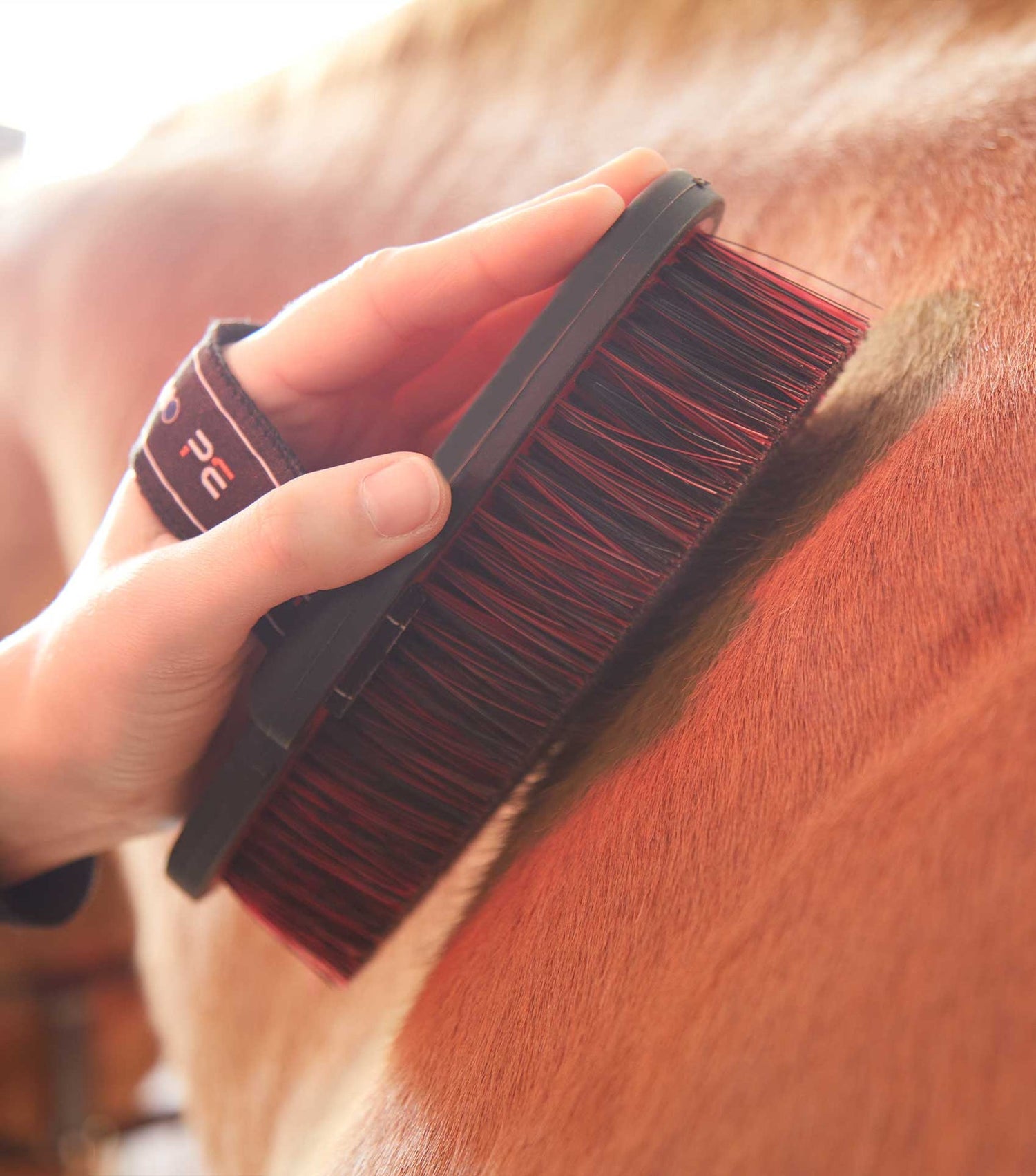 Premier Equine Soft-Touch Body Brush - Equine Grooming 