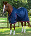 Premier Equine Stable Buster Lite 100g - Equine Horse Wear 