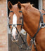 Premier Equine Stefano Rubber Reins - Equine Horse Wear 