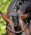 Premier Equine Stellazio Anatomic Snaffle Bridle with Flash - Equine Horse Wear 