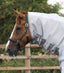 Premier Equine Super Lite Fly Rug with Surcingles - Equine Horse Wear 