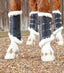Premier Equine Techno Wool Brushing Boots - Equine Horse Wear 