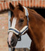 Premier Equine Techno Wool Lined Head Collar - Equine Horse Wear 