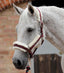 Premier Equine Techno Wool Lined Head Collar - Equine Horse Wear 