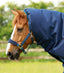 Premier Equine Titan 200g Turnout Rug with Snug-Fit Neck Cover - Equine Horse Wear 
