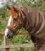 Premier Equine Titan 300g Turnout Rug with Snug-Fit Neck Cover - Equine Horse Wear 