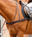 Premier Equine Zimella Elastic Breastgirth - Equine Horse Wear 