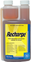 Recharge Horse - Equine Nutritional & Performance Supplements 