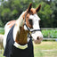 STC Cotton Drill Rug Bib - Equine Horse Wear - Pony-Cob-Full