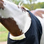 STC Cotton Drill Rug Bib - Equine Horse Wear - Pony-Cob-Full