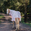 STC Dakota Fly Mesh Combo - White/Pink - Equine Horse Wear - 3'3 NZ (4'6" AU)-3'6 NZ (4'9" AU)-3'9 NZ (5'0" AU)-4'0 NZ (5'3" AU)-4'3 NZ (5'6" AU)