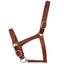 STC Fort Worth Leather Halter with Curb Adjustment