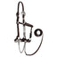 STC Fort Worth Ohio Show Halter