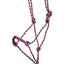 STC Fort Worth Rope Halter - Equine Horse Wear - Black-Black/Turquoise-Chocolate/Turquoise-Purple/Pink
