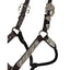 STC Fort Worth Scottsdale Arabian Silver Halter - Equine Horse Wear - Default Title
