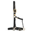 STC GG Australia Deluxe Nylon Halter - Equine Horse Wear - Black / Full-Black / Cob-Blue / Full-Blue / Cob