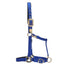 STC GG Australia Deluxe Nylon Halter - Equine Horse Wear - Black / Full-Black / Cob-Blue / Full-Blue / Cob