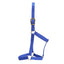 STC GG Australia Stable Halter - Equine Horse Wear - Black / Full-Black / Cob-Black / Pony-Blue / Full-Blue / Cob