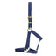 STC GG Australia Stable Halter - Equine Horse Wear - Black / Full-Black / Cob-Black / Pony-Blue / Full-Blue / Cob