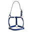 STC Horse Sense Mini Halter - Equine Horse Wear - Large / Black-Large / Blue-Large / Red-Large / White-Medium / Black