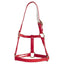 STC Horse Sense Mini Halter - Equine Horse Wear - Large / Black-Large / Blue-Large / Red-Large / White-Medium / Black