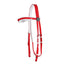 STC Horse Sense Race Bridle Head